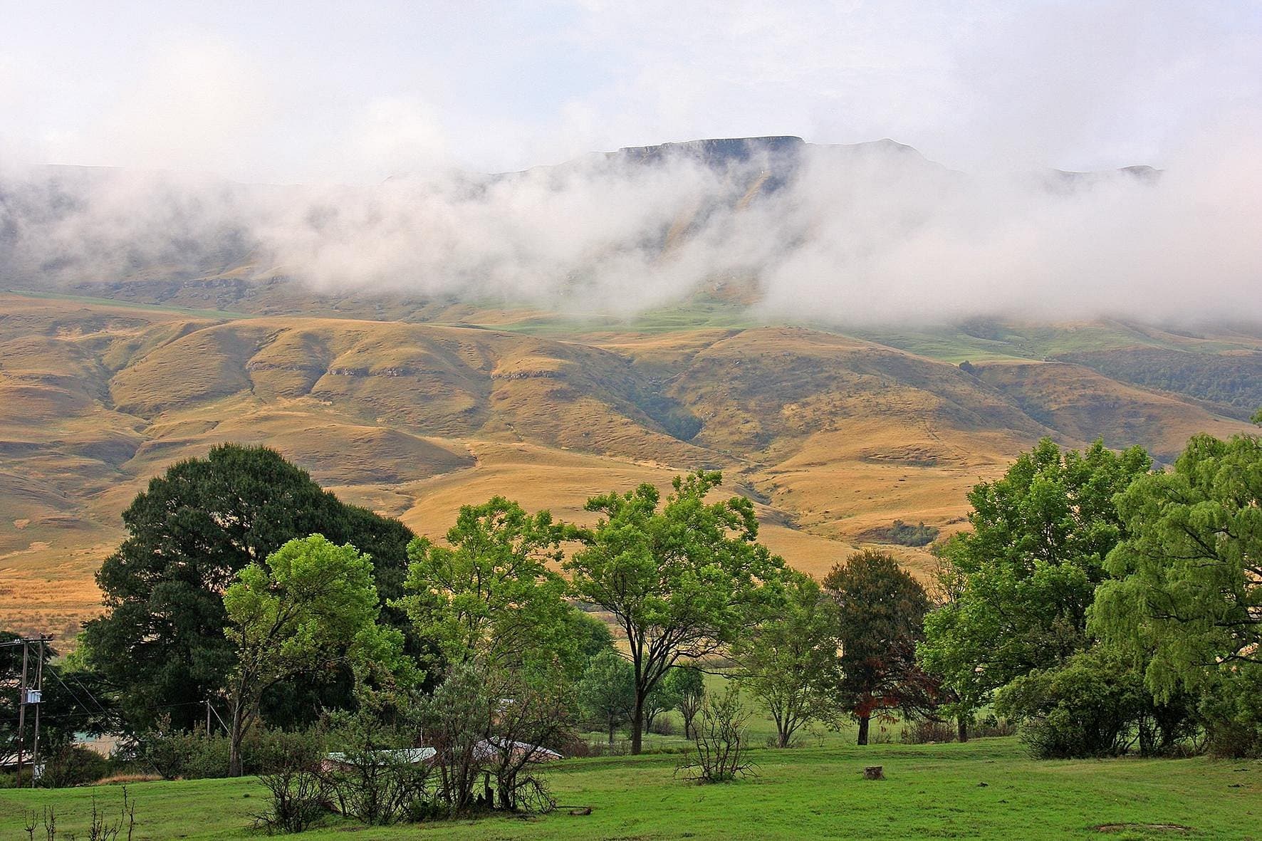 Kamberg Nature Reserve